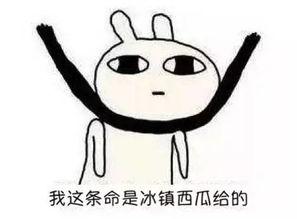 吃瓜群众都知道的娱乐