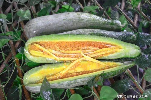 网红吃瓜入口在哪里,揭秘网红们的美食秘密