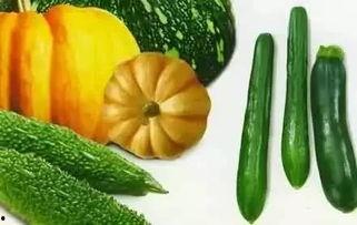 吃瓜推荐网,吃瓜推荐网带你尝遍人间美味