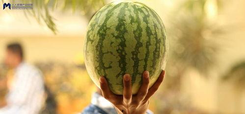 网暴吃瓜事件,揭秘吃瓜群众的盲目与伤害