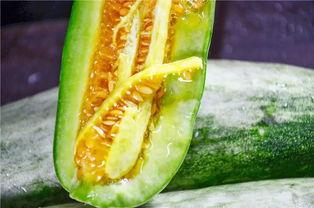 网红吃的软趴瓜,软趴瓜的独特魅力揭秘