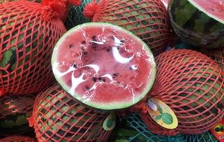 上海虹桥今日吃瓜,吃瓜群众聚焦热点事件