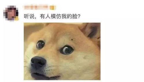 微信表情包中吃瓜是什么意思,揭秘微信表情包中的吃瓜文化