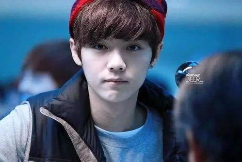 娱乐圈吃瓜郑业成微博,娱乐圈幕后真相大揭秘