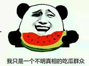 吃瓜群众网络新词,网络新词背后的社会现象解析