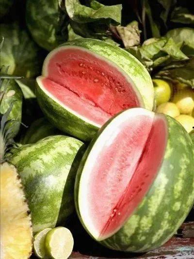 元梦吃瓜爆料,元梦吃瓜爆料，明星幕后故事大曝光