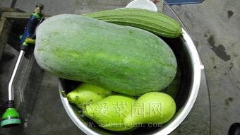 呱呱吃瓜爆料吃瓜热门吃瓜