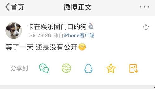 52吃瓜爆料,揭秘娱乐圈最新热点事件