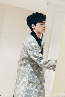 吃瓜星娱乐李易峰,吃瓜星娱乐中的璀璨明星