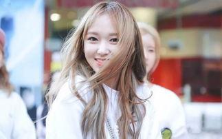 娱乐圈吃瓜程潇小说在线阅读,揭秘明星背后的故事